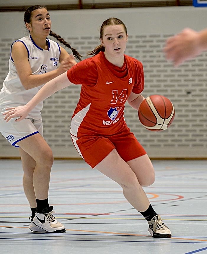 436ce9f5-7d90-4a63-a951-327cb68587bb